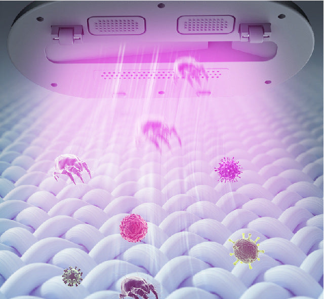 DustBeetle™ - Sorgt für eine gründliche Reinigung