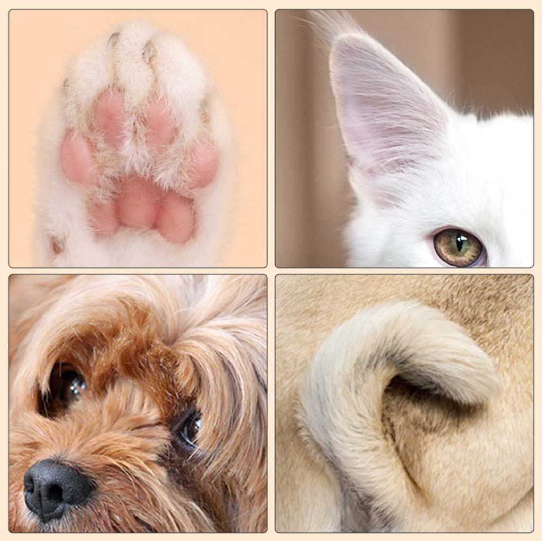 FurFixer™ - für stressfreie Fellpflege und Wohlbefinden