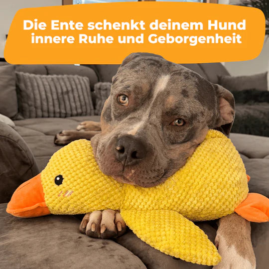 Calming Duck™ - Anti-Stress-Ente